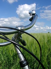 Killikus&reg; Fotographie